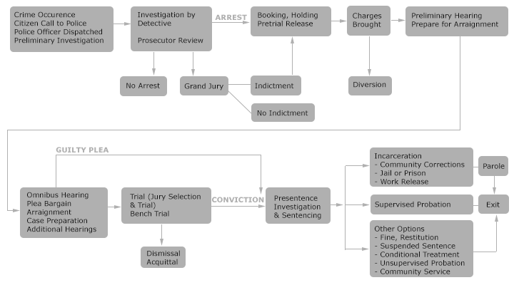 Pretrial Process Flow Chart