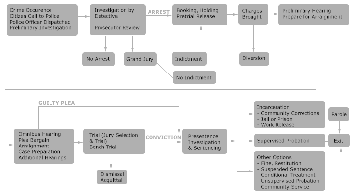 Criminal Justice Process Chart